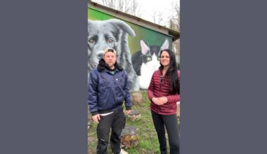 Mit Video | Tierheim Karlsruhe: Zwischen Jahresrückblick und großen Vorhaben 2026