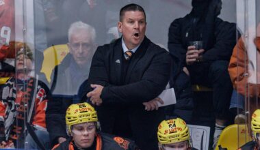 Auch an Weihnachten läuft bei den Löwen wenig nach Wunsch