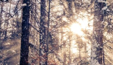 Augsburg-Innenstadt: Erste Hilfe für die Psyche: Kurs beim BRK