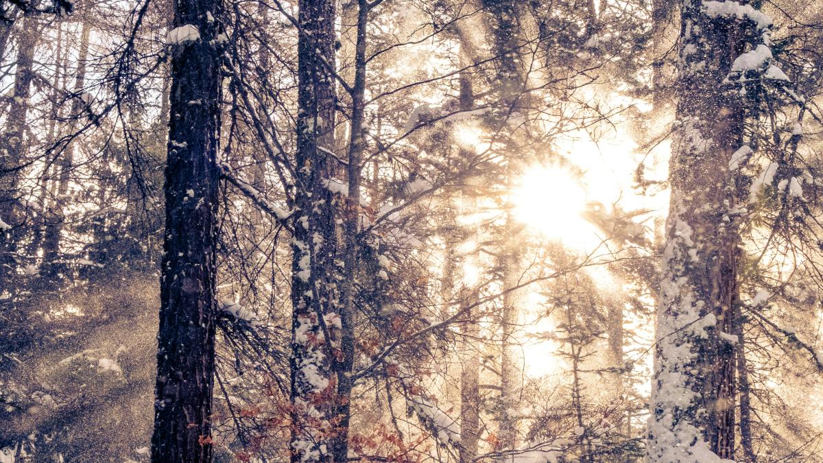 Augsburg-Innenstadt: Erste Hilfe für die Psyche: Kurs beim BRK