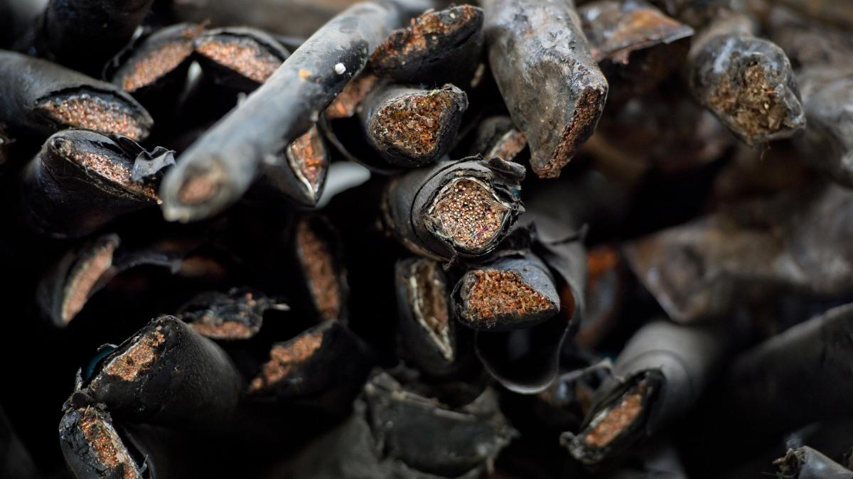 Kupferdiebe grillen Kabel in Wald in Bielefeld: Feuerwehreinsatz