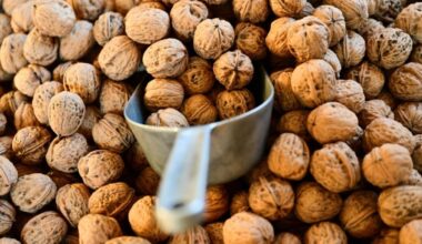 Boyens Medien - Alles fürs Backen: Hamburg importiert viele Tonnen Nüsse