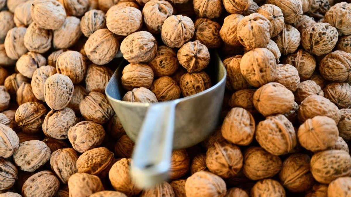 Boyens Medien - Alles fürs Backen: Hamburg importiert viele Tonnen Nüsse