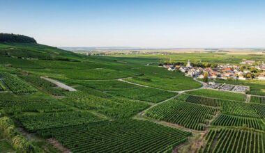 Neusser verkauft Champagner aus Frankreich