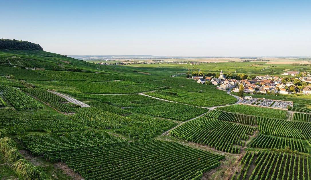 Neusser verkauft Champagner aus Frankreich