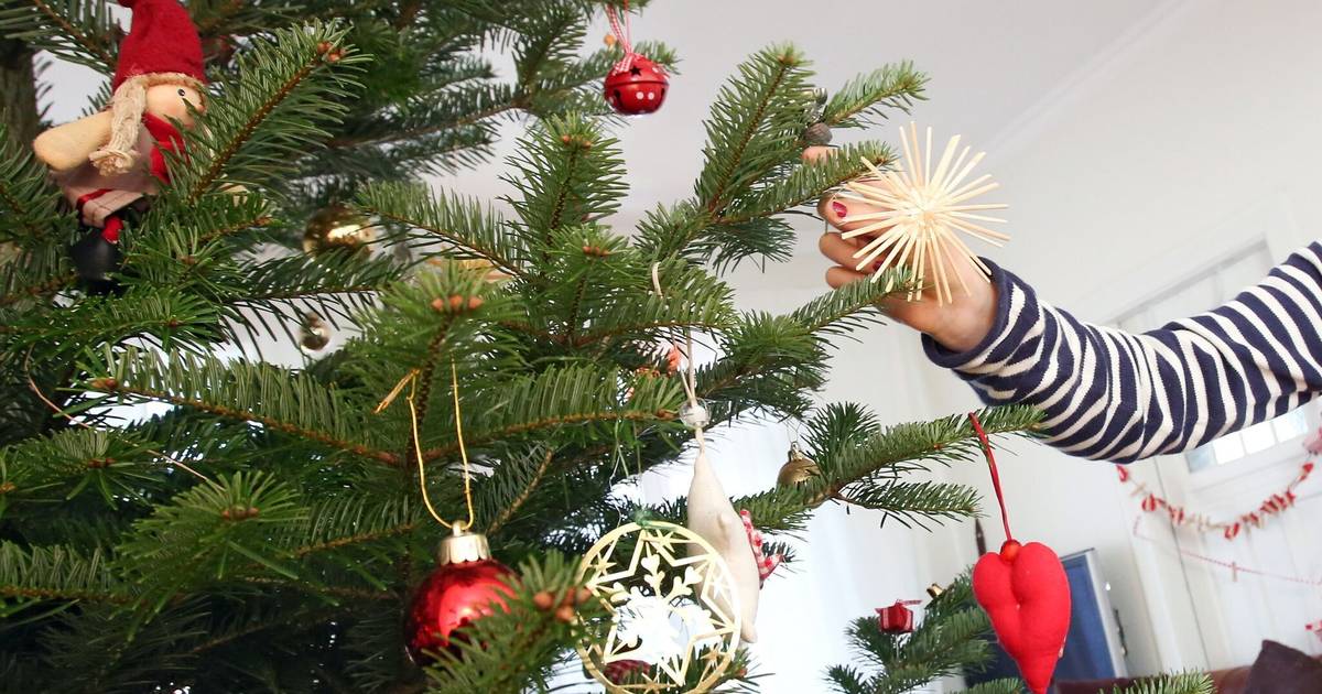 Caritas lädt Senioren für Heiligabend ein