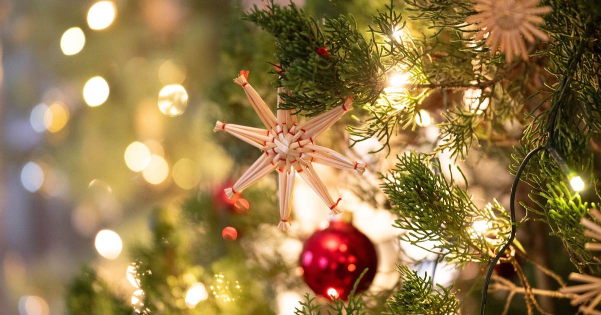 Wie das schnelle Netz unser Weihnachten lahmlegte