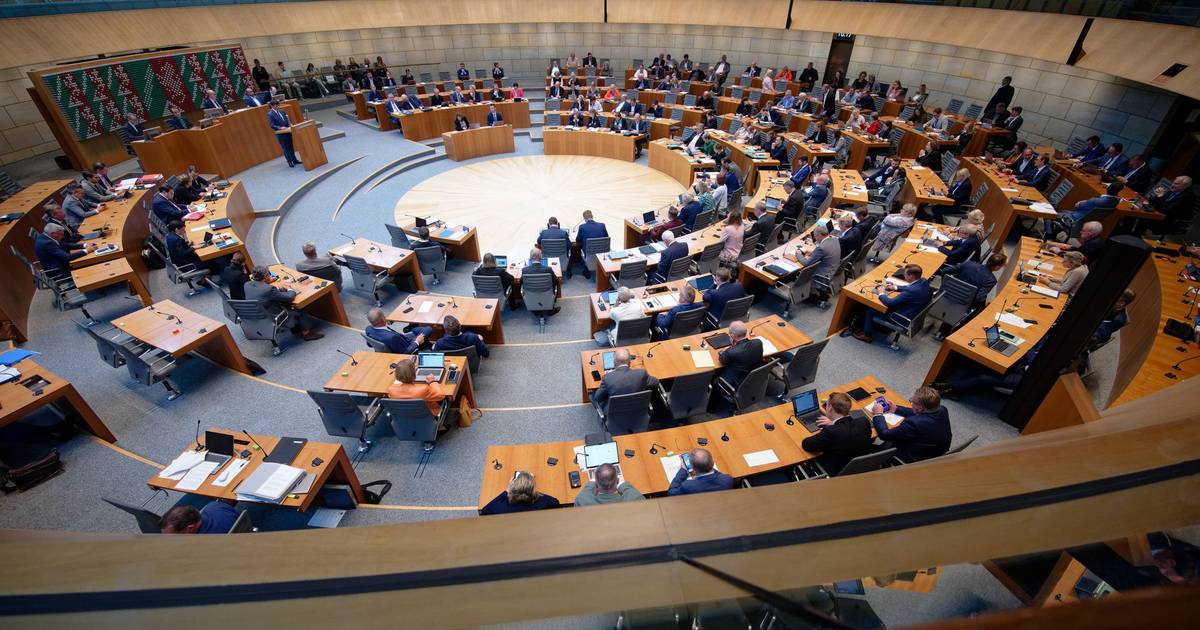 AfD streitet mit Landtag über Weihnachtsbaum