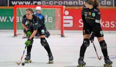 Cats und Löwen lösen ihre Pflichtaufgaben souverän