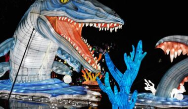 Eröffnung China Lights in Köln