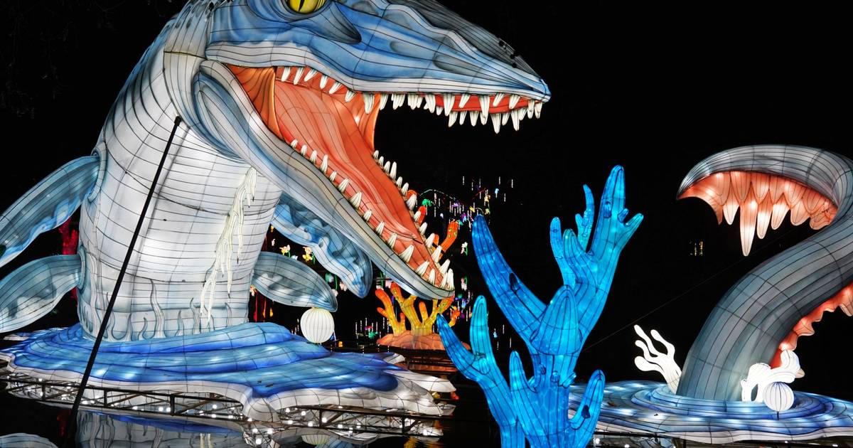 Eröffnung China Lights in Köln