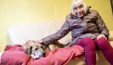 Auch an Weihnachten wird im Tierheim gekuschelt