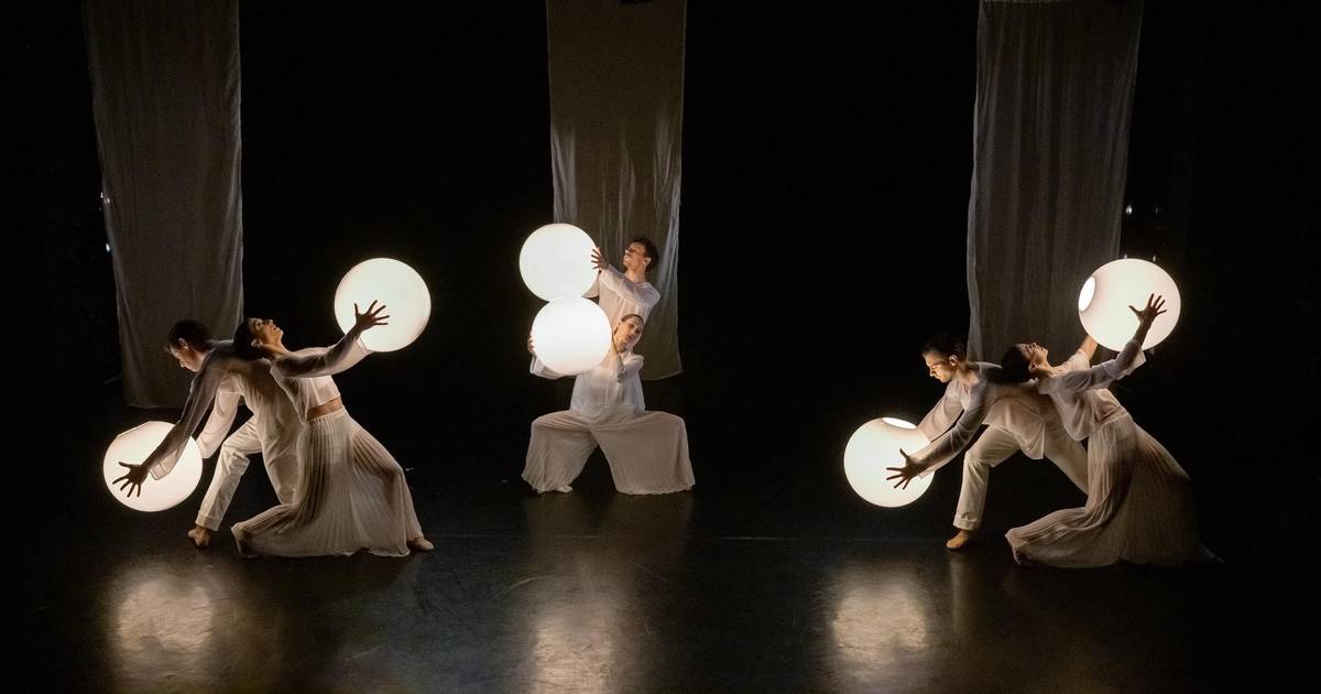 Theater Mönchengladbach: "Black Sheep/Sogni d'oro"