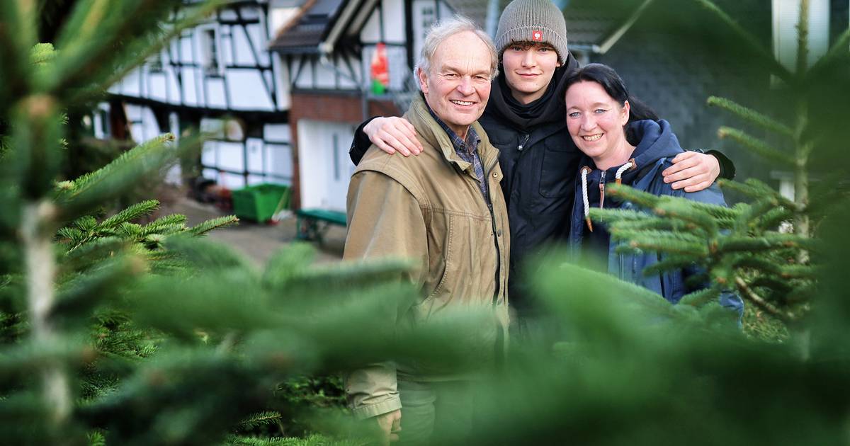 Gut Schleifenhaus in Gruiten verkauft seit 40 Jahren Weihnachtsbäume