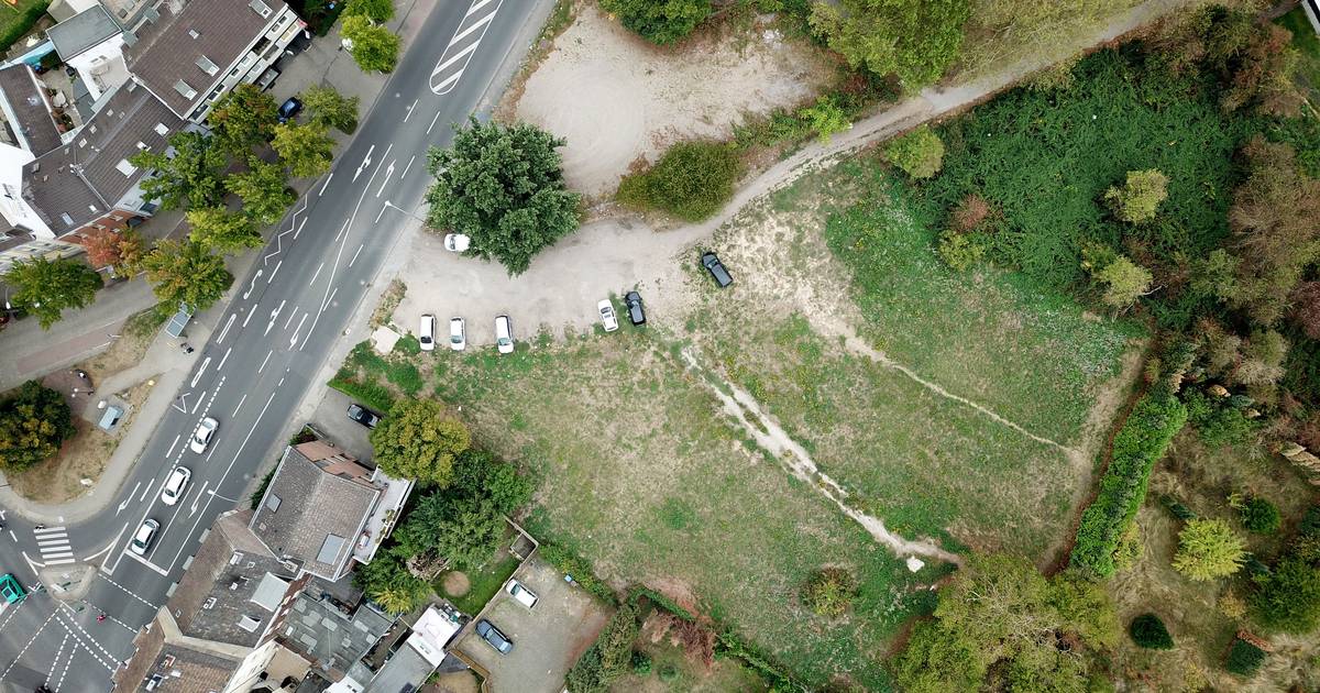 Mönchengladbach: Kolumne Mensch Gladbach - Wunder von Hardterbroich und Haus Westland