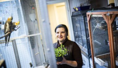 Wie sich der Verein Tisco um Tiere sorgt, die niemand will