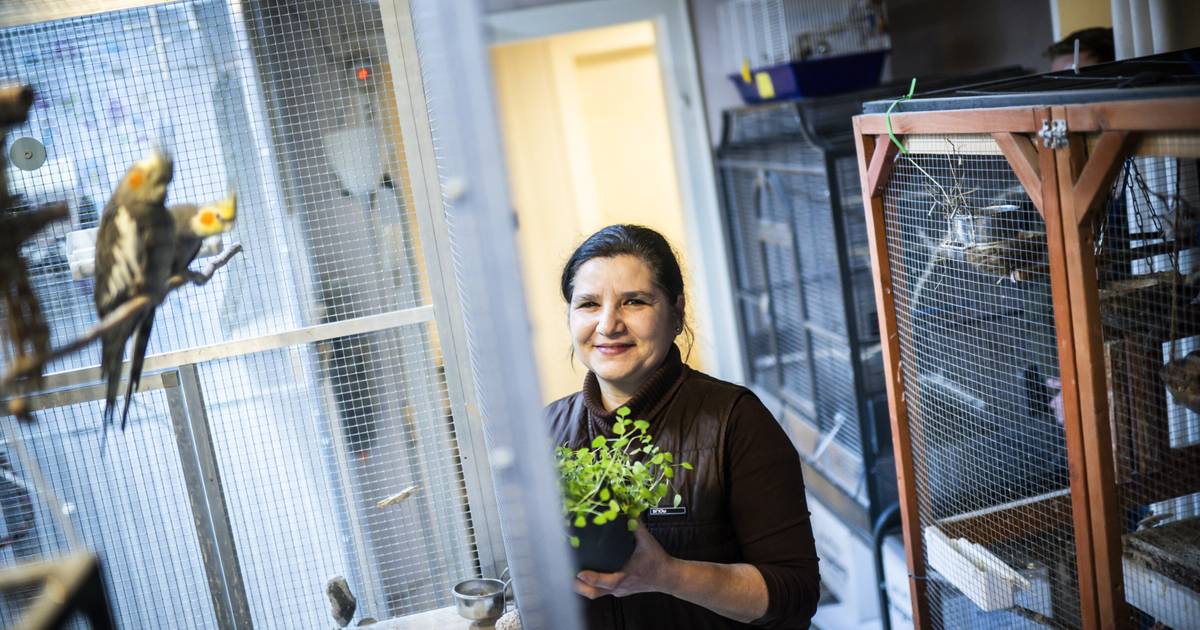 Wie sich der Verein Tisco um Tiere sorgt, die niemand will