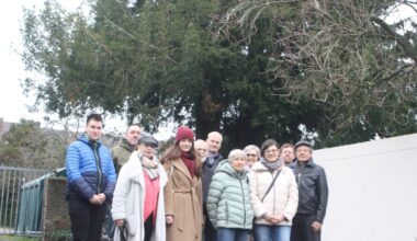 Viersen Anwohner kämpfen um Eiben