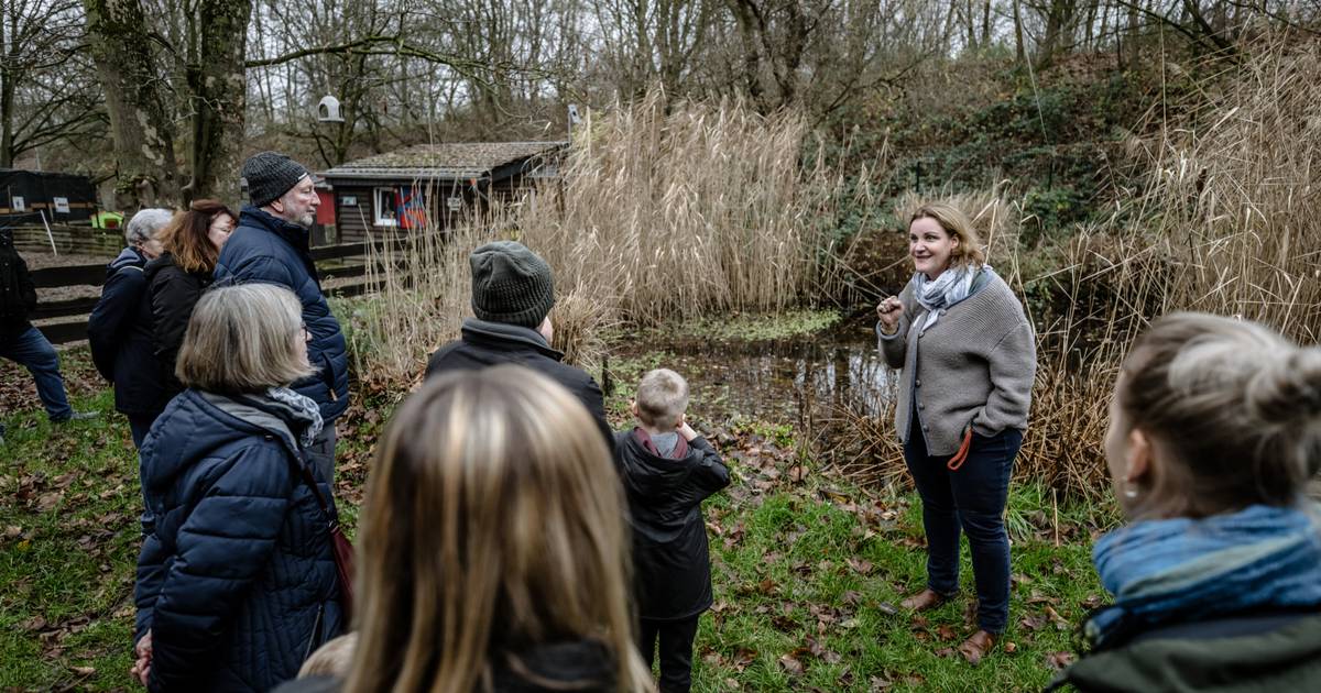 Düsseldorf: Das Heim für Tiere