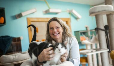 So sieht der Berufsalltag in Düsseldorf aus