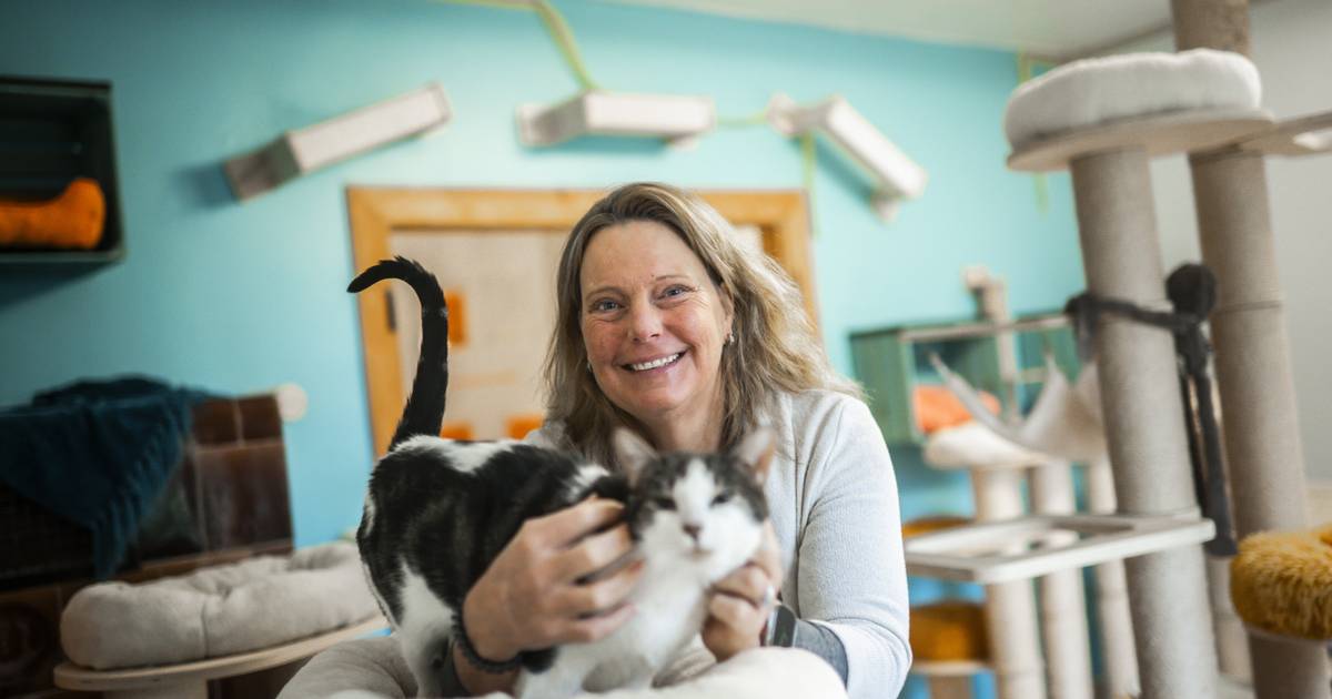 So sieht der Berufsalltag in Düsseldorf aus