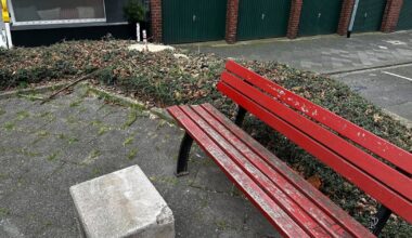 Warum ein Baum „Am Zwickel“ gefällt wurde