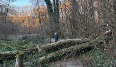 Schwerer Baum stürzt mitten auf Wanderweg in Gruiten