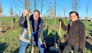 Rheinpark erhält Klimahain aus resilenten Bäumen