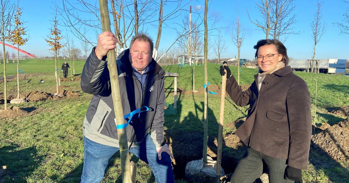 Rheinpark erhält Klimahain aus resilenten Bäumen