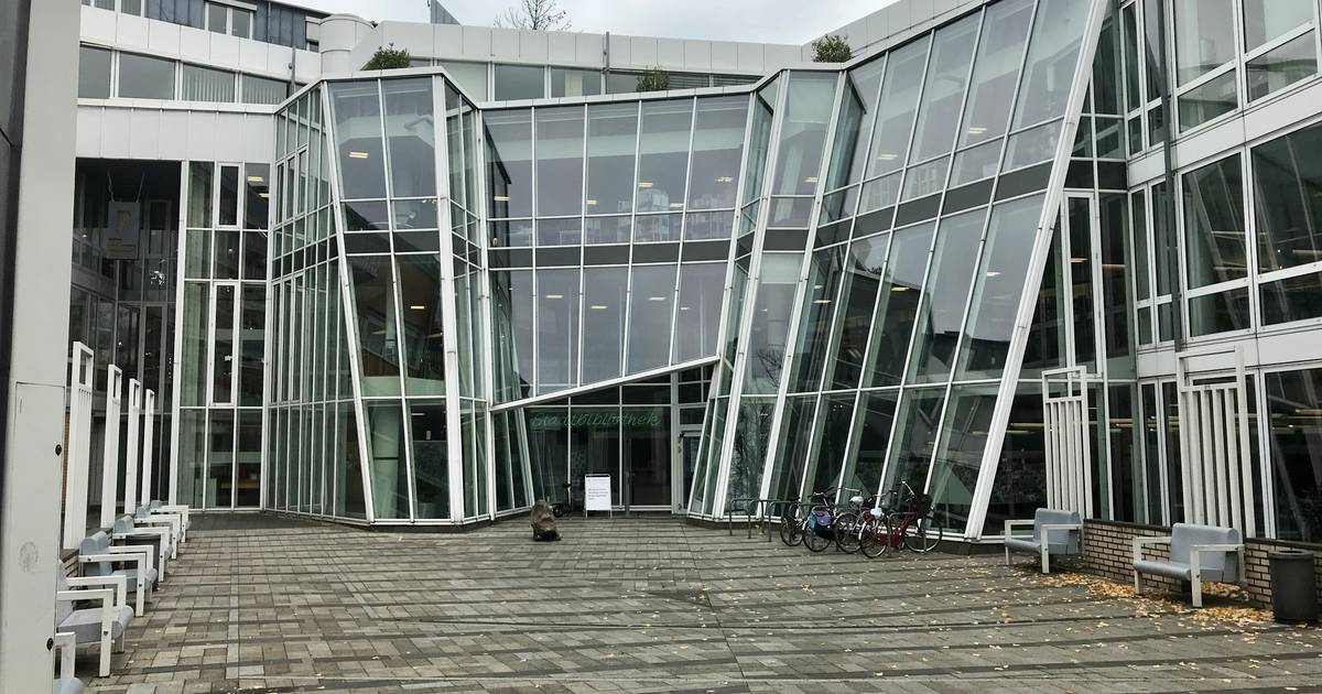 Erzbistum Köln will Stadtbibliothek Neuss für Berufskolleg haben