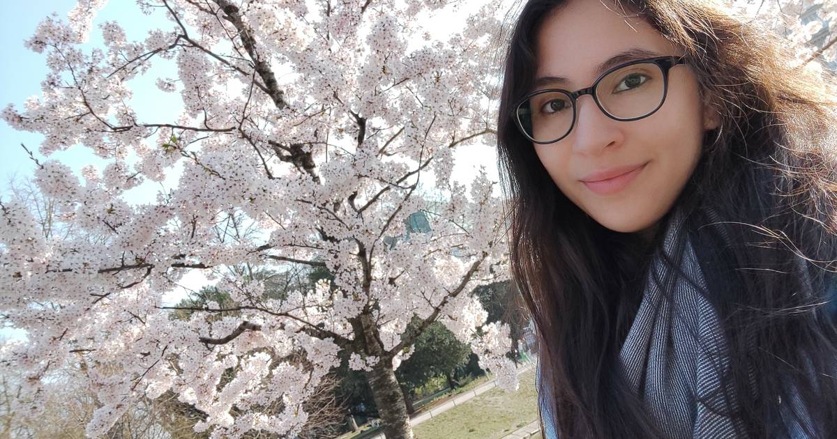 WZ-Kommentar zum eingeschränkten Fernzugangebot: Vertrauen fährt nicht mit