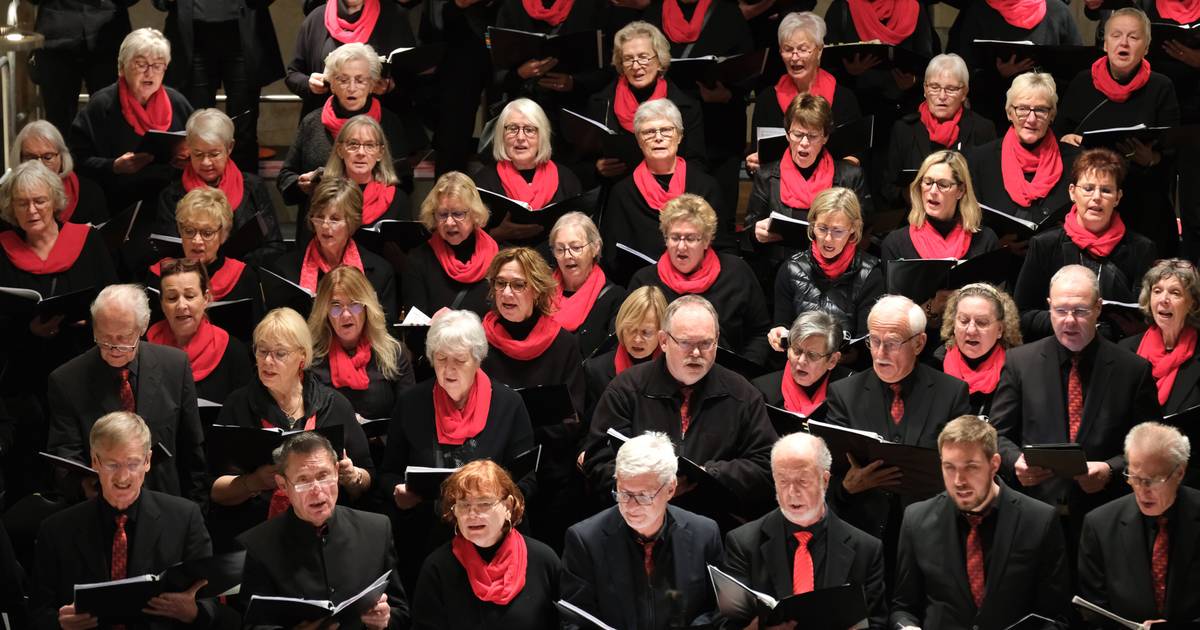 Adventskammer begeistert mit klassischen Weihnachtsliedern