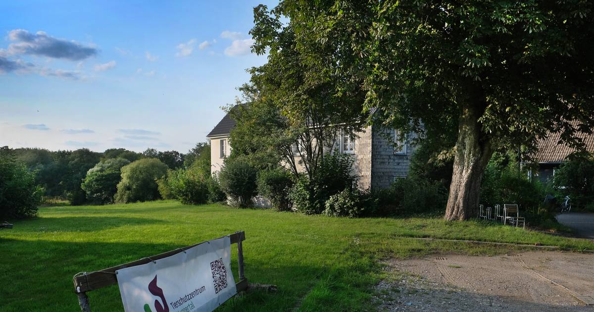 Bergische Diakonie geht in Berufung zu Urteil Tierschutzzentrum