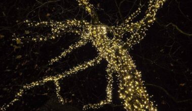 Ein bisschen mehr Licht für Garath