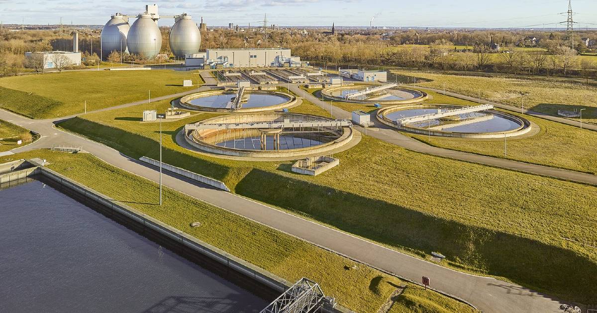 Kläranlagen schuld? EGLV widerspricht Studie