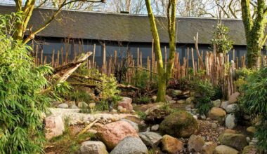 Neue Arten, tiergerechte Architektur und ein „Tropenweg“ 