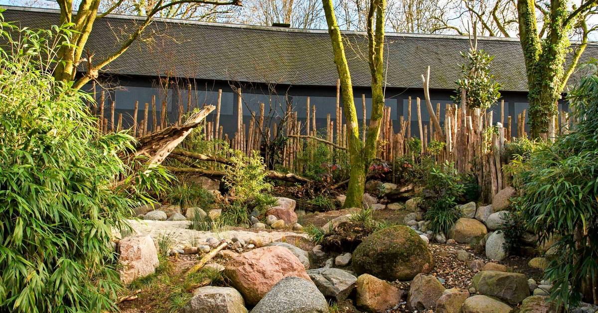 Neue Arten, tiergerechte Architektur und ein „Tropenweg“ 