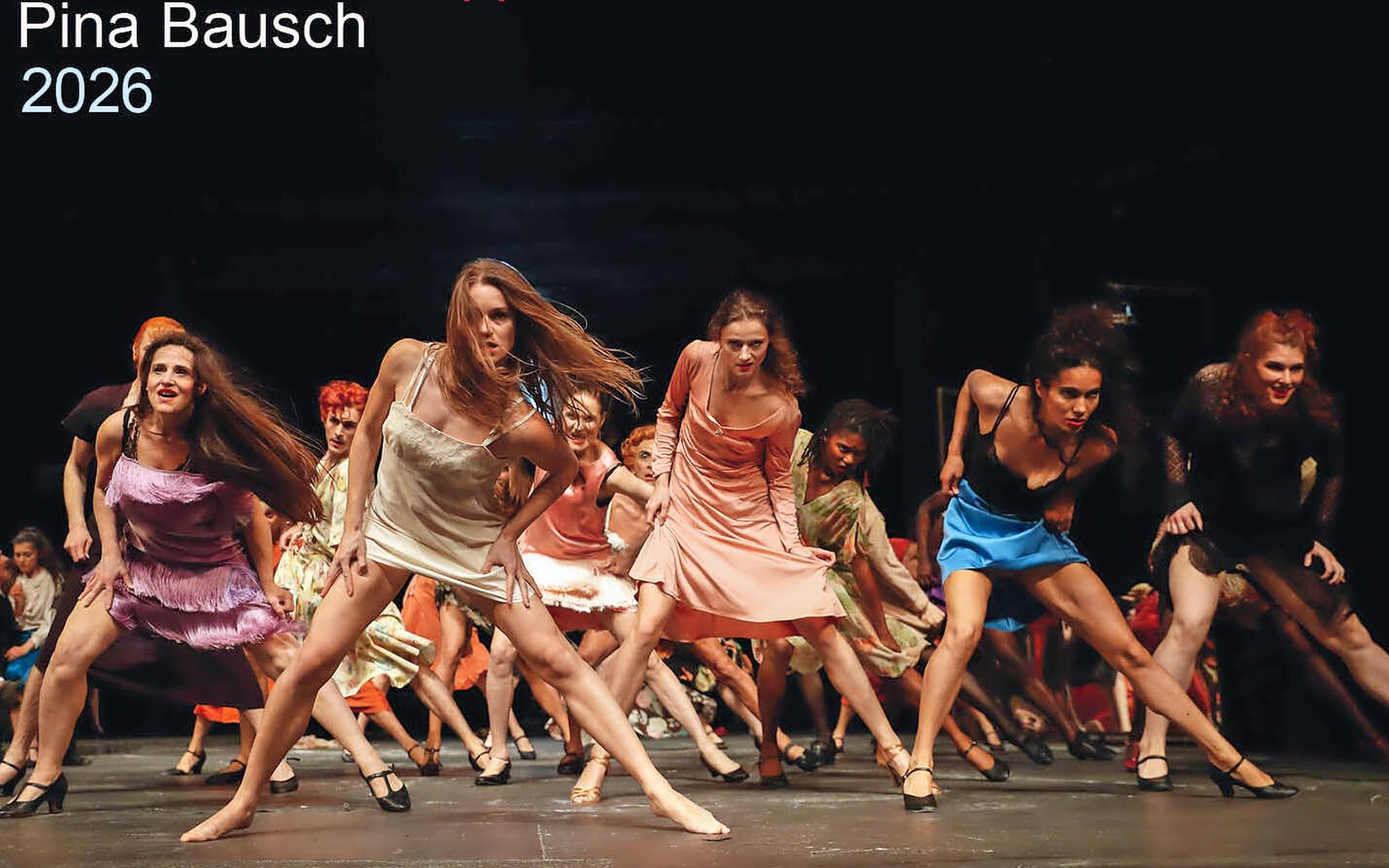 Die richtige Wahl für alle Fans des Wuppertaler Tanztheaters und von Pina Bausch.