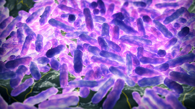 Mikroskopaufnahmen zeigen das Bakterium „Mycobacterium leprae“ in einer 3D-Illustration.
