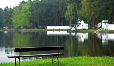 Bedenkliche Chemikalien in Dresdner Gewässern nachgewiesen