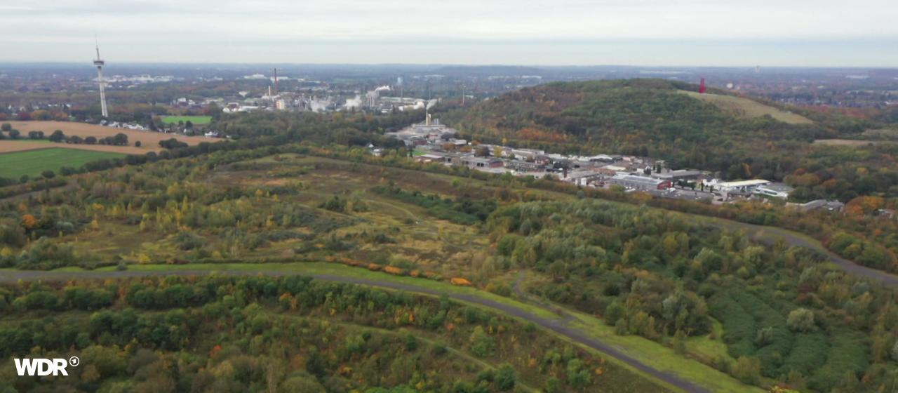Die Halde Lohmannsheide von oben