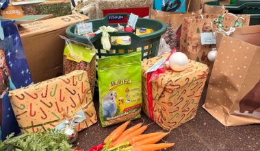 Tierweihnacht im Waldzoo Gera - Besucher bringen Geschenke für ihre Lieblinge