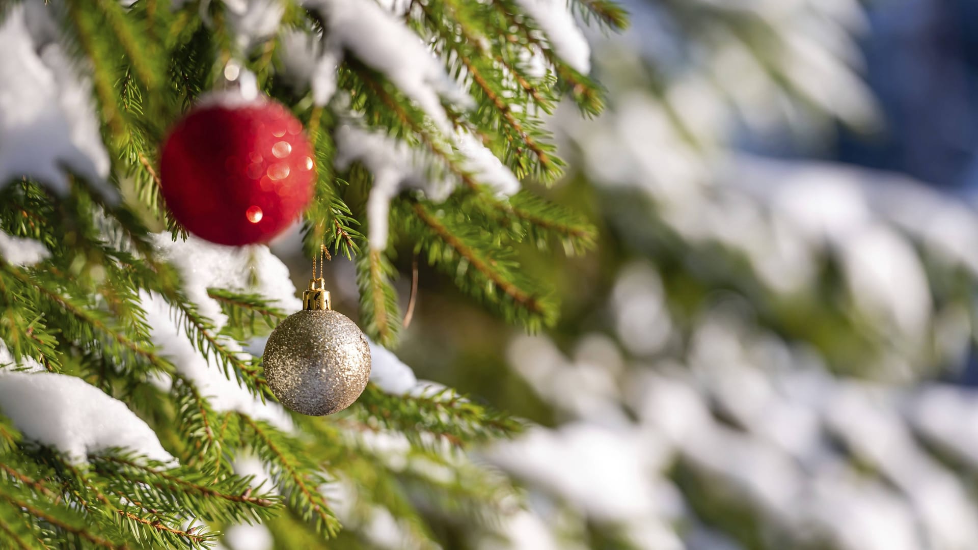 imago images 0839192986 imago images 0839192986