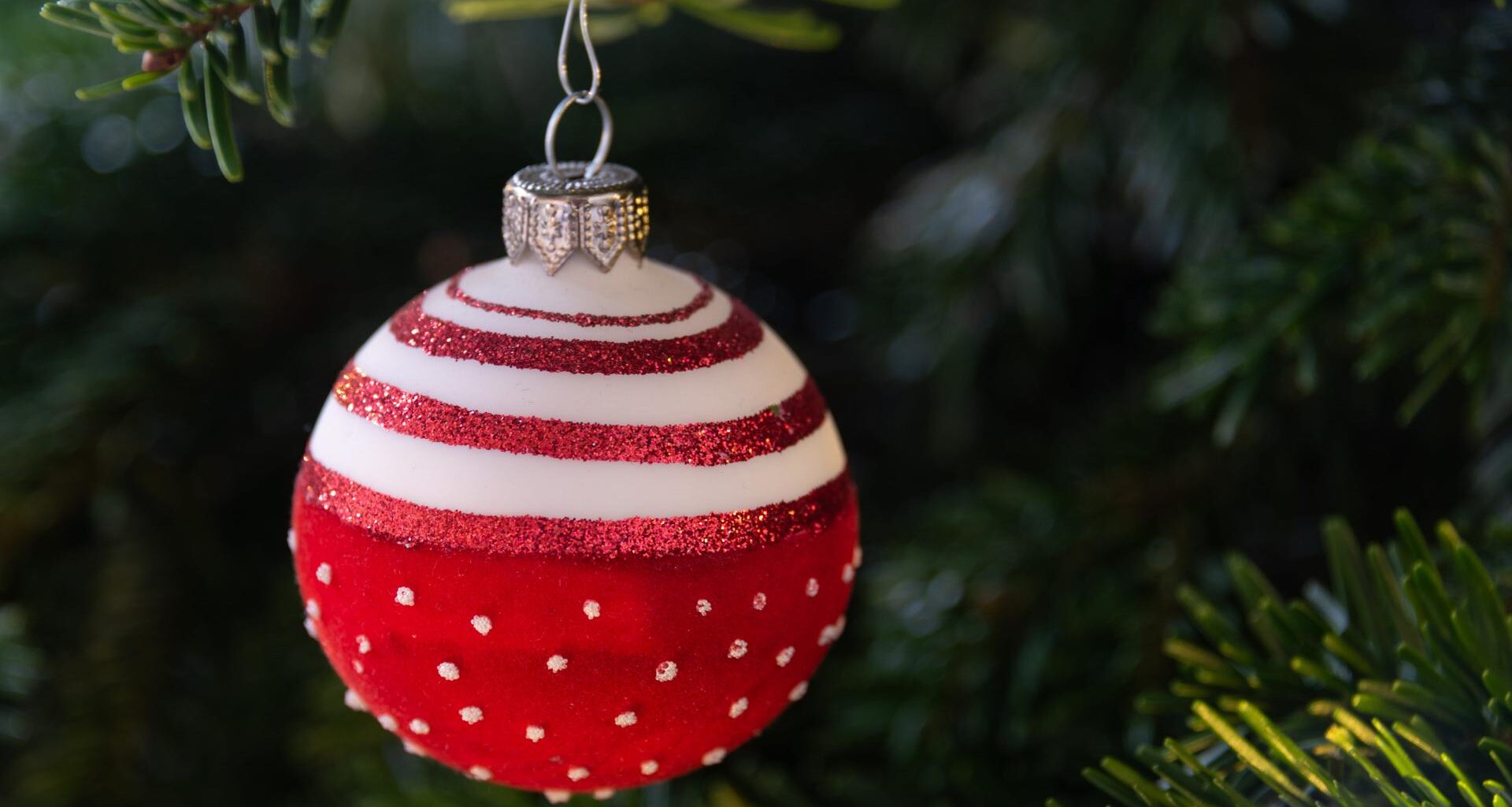 Eine rote Weihnachtskugel mit weißen Punkten hängt an einem geschmückten Weihnachtsbaum.