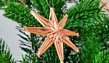 Theater und Werkstatt: Stadtmuseum lädt am Adventswochenende ein