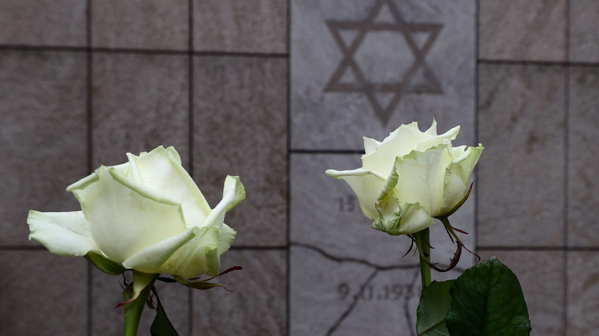 Weiße Rosen am Mahnmal am Platz der ehemaligen Synagoge in Hannover: Die Politik der Leinestadt und auch deren Religionsvertreter haben sich zu dem Anschlag in Sydney geäußert. Weiße Rosen am Mahnmal am Platz der ehemaligen Synagoge in Hannover: Die Politik der Leinestadt und auch deren Religionsvertreter haben sich zu dem Anschlag in Sydney geäußert.