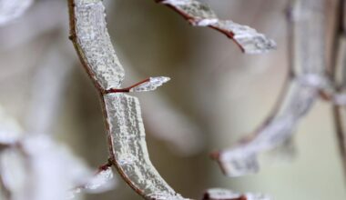 Wetterdienst meldet Glättegefahr bis 10 Uhr
