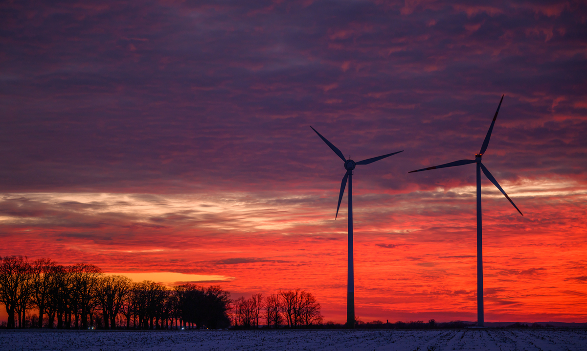 Münster sollte bei Windkraft nicht anderswo wildern