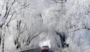 Autos fahren entlang einer Straße, die von schneebedeckten Bäumen gesäumt wird.