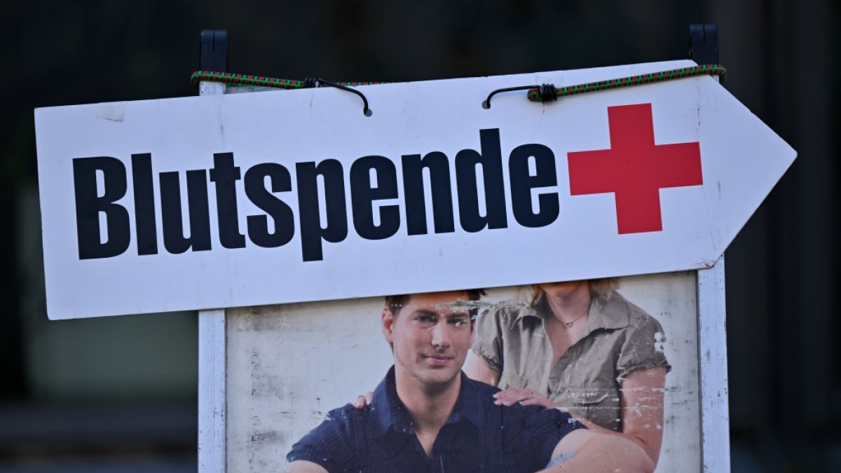 Blutspendetermine Sachsen-Anhalt im Dezember: A+ und 0+ erreichen kritische Füllmenge